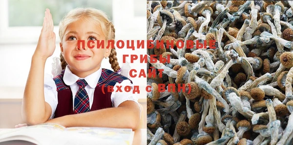 таблы Кодинск