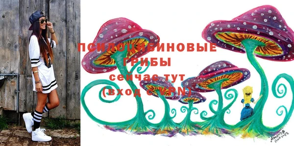 a pvp Грязовец