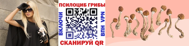 Галлюциногенные грибы Magic Shrooms Касли
