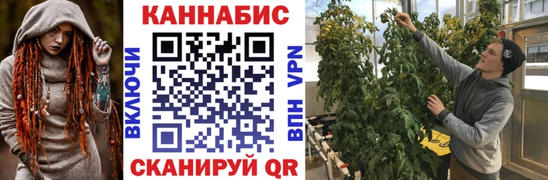 Бошки Шишки планчик Касли